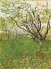Orchard Canvas Paintings - Orchard in Blossom 1